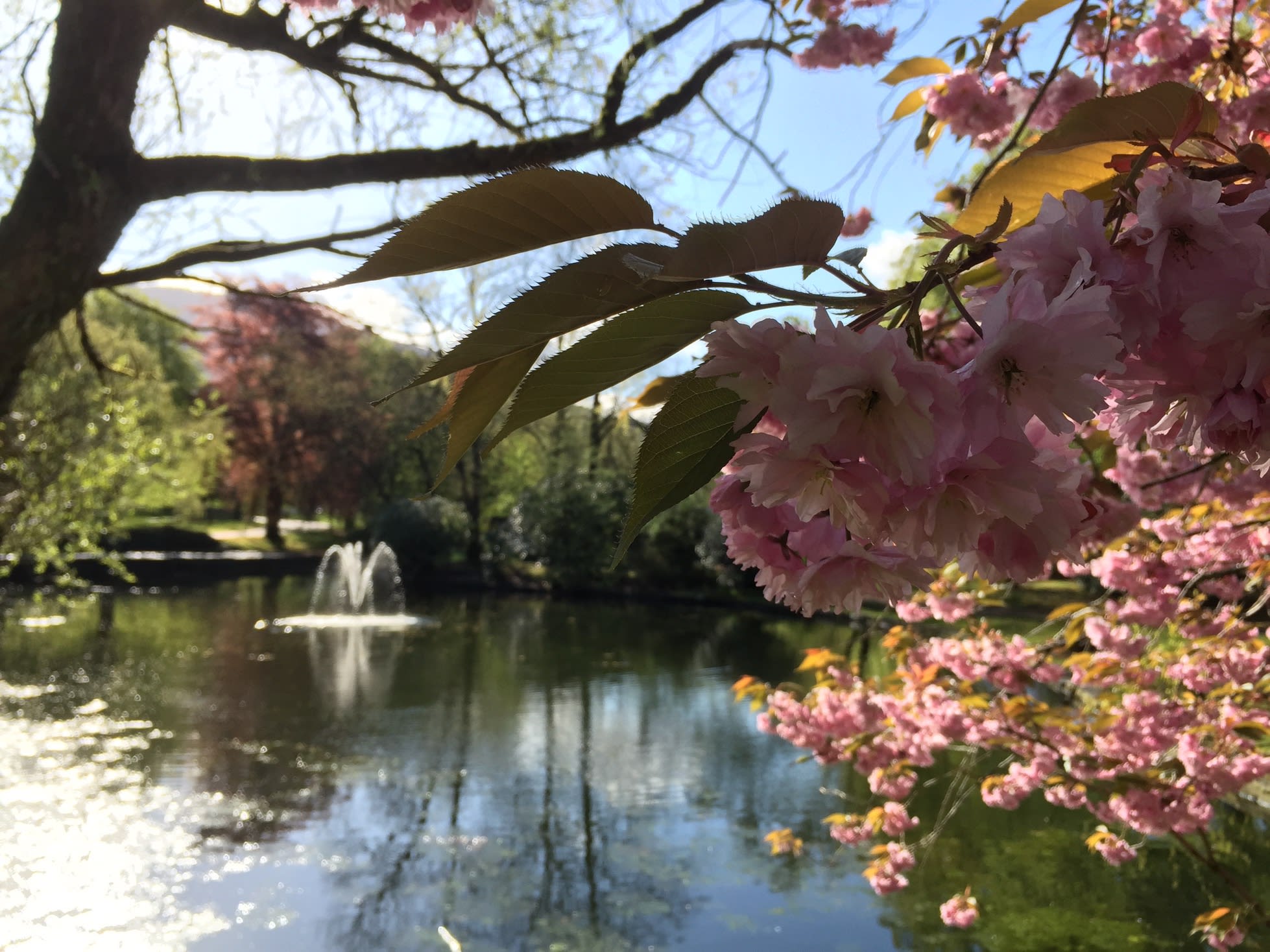 nygådsparken